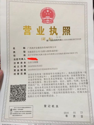 廣西商務咨詢與商務信息咨詢 區域經濟騰飛的智慧引擎